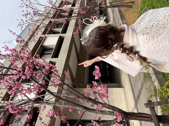 横浜みなとみらい 桜満開です♡♡♡