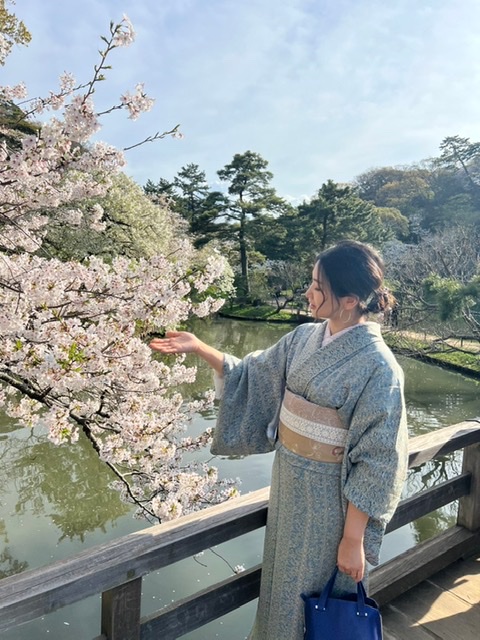 今年の桜は小紋着物で見たい